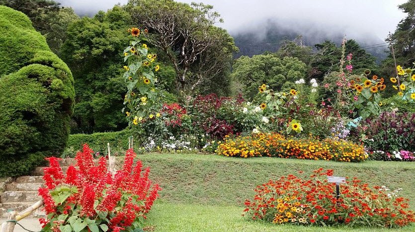 Hakgala Botanical Garden, Sri Lanka